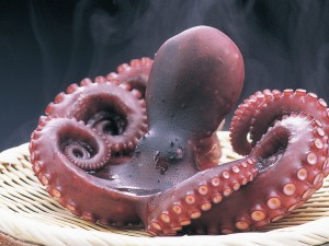 僕のお気に入り