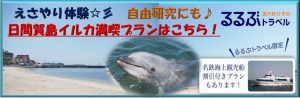 るるぶトラベル　イルカバナー