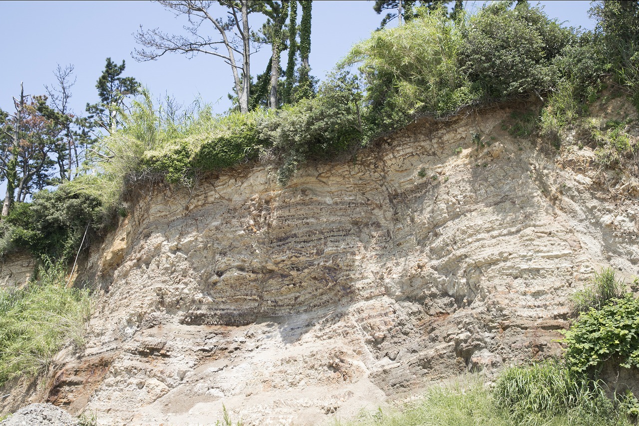 地層 下海 見どころ 日間賀島観光ナビ