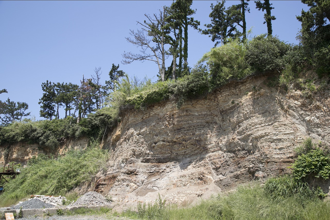 地層 下海 見どころ 日間賀島観光ナビ