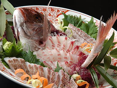 日間賀島の紅葉鯛（天然真鯛）の写真